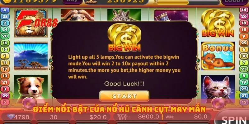 Điểm nổi bật của nổ hũ cánh cụt may mắn