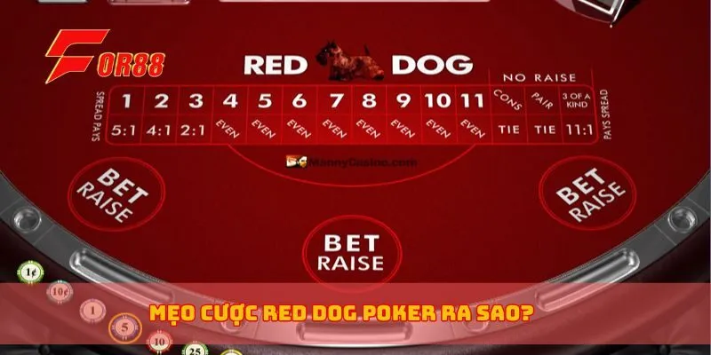 Mẹo cược Red Dog Poker ra sao?